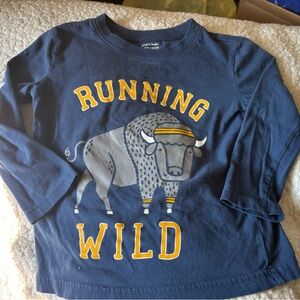 2T long sleeve shirt